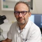 portrait membre comité