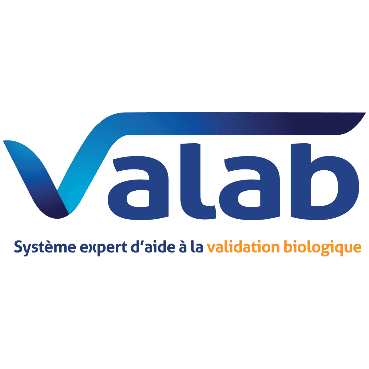 logo_valab